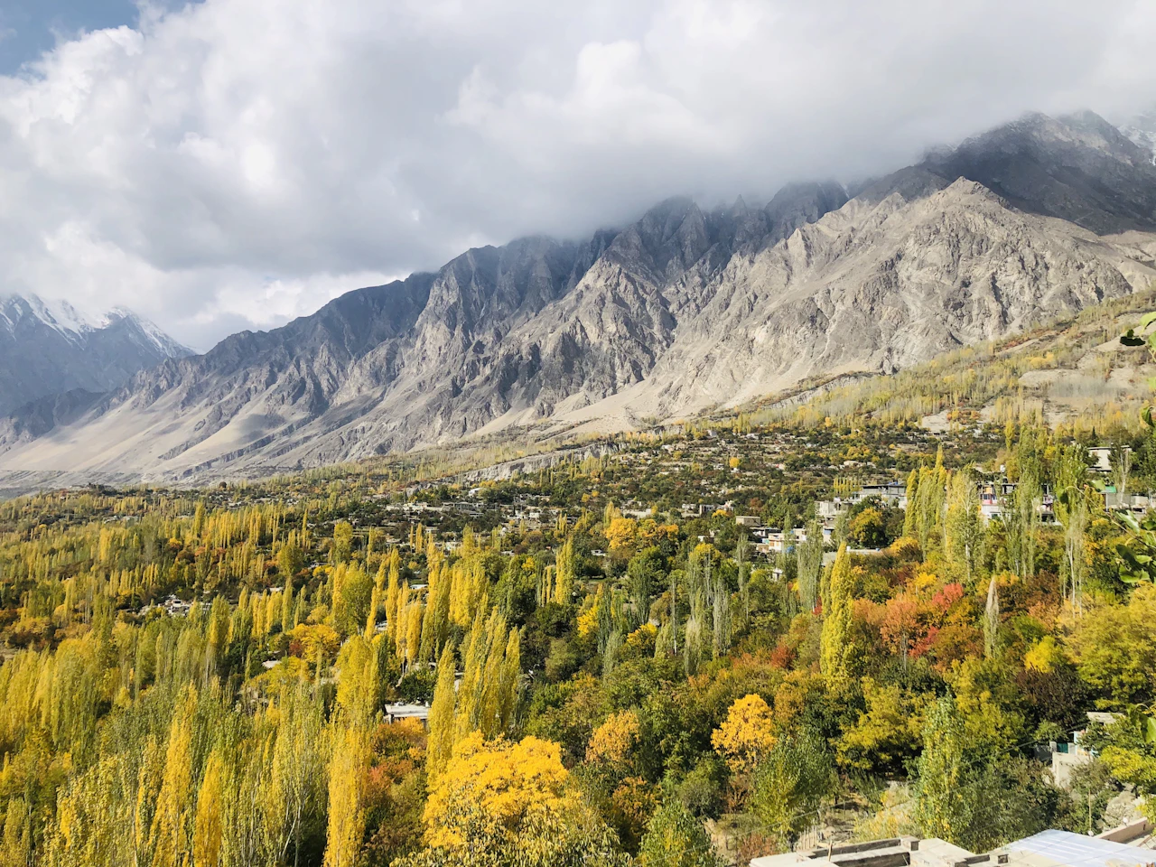 Arbres d'automne dans la vallée de la Hunza sous des montagnes enneigées
