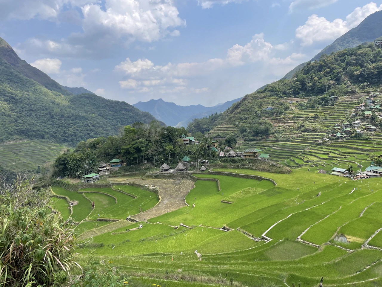 Le risaie a terrazza di Batad tra montagne verdi