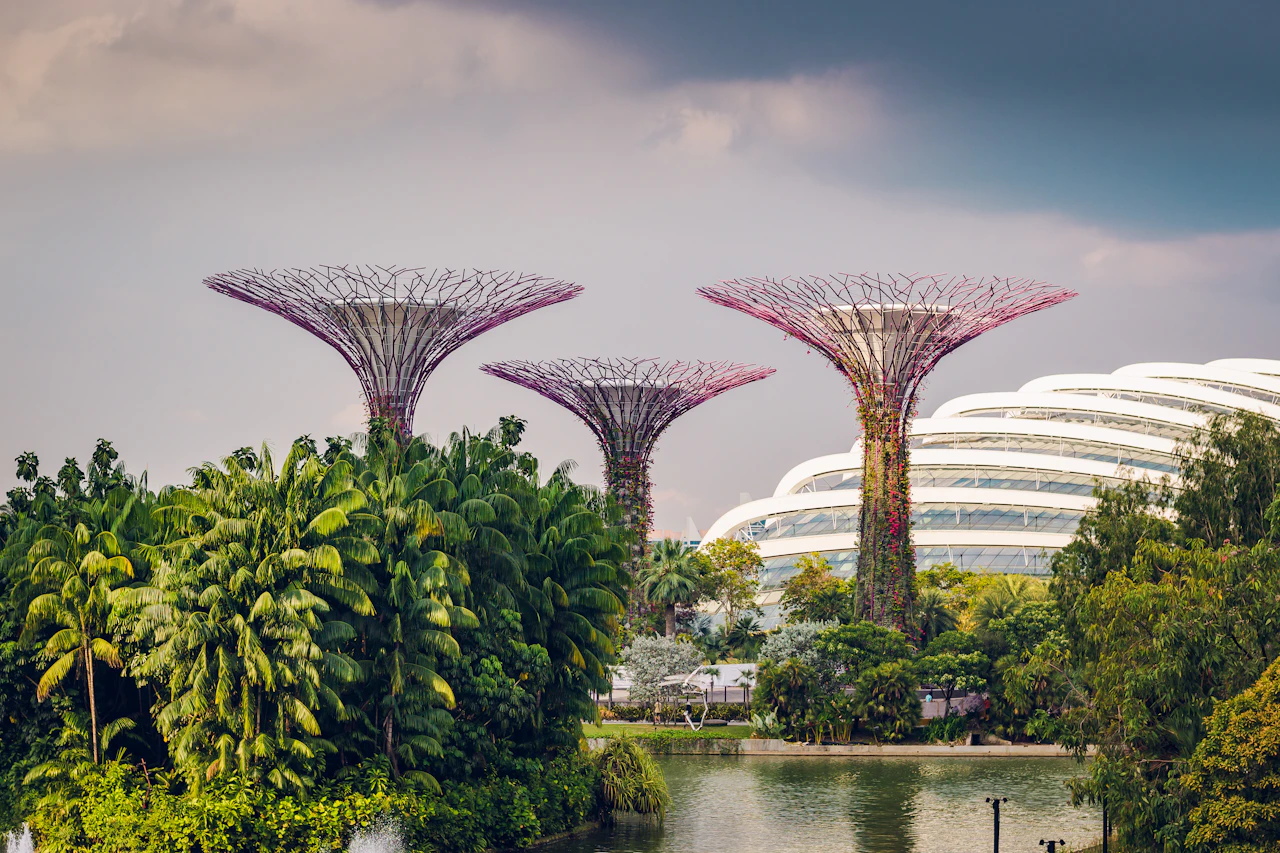 Der Supertree Grove in Gardens by the Bay